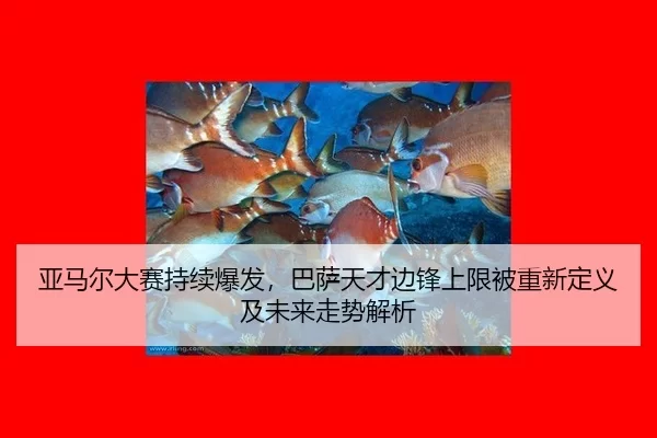 ya-ma-er-da-sai-chi-xu-bao-fa-ba-sa-tian-cai-bian-feng-shang-xian-bei-chong-xin-ding-yi-ji-wei-lai-zou-shi-jie-xi-2-566.jpg