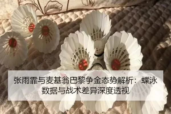 zhang-yu-fei-yu-mai-ji-weng-ba-li-zheng-jin-tai-shi-jie-xi-die-yong-shu-ju-yu-zhan-shu-cha-yi-shen-du-tou-shi-2-200.jpg
